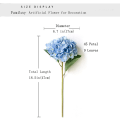 Miniatyrbild 2 av 4: Simulering grodd hortensia, blå, 3st