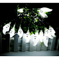 Miniatyrbillede 3 af 3: Halloween String Lights 30 LED Pumpkin Spirit Light til udendørs lys String jule halloween fest Park Opvaskemaskine W