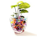 Miniatyrbild 8 av 8: 5-pack vattenabsorption upp till 7-8 mm kristallbomb barn T Multicolor