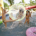 Miniatyrbild 2 av 8: Bubble Ball Giant Elastisk Vattenfylld Ball TPR Interactive Swi Orange