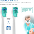 Pikkukuva 5 / 5: 8 kappaletta vakioharjaspäätä, jotka ovat yhteensopivia Philips Sonicare -sähköhammasharjojen kanssa, sopivat Diamondclean Flexcare Healthywhite Easyclean Protectiveclean P