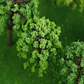 Miniatyrbild 3 av 5: 50 modellträd, 3D modellträd, mikro träd modeller, modell tåg tr