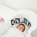 Miniatyrbillede 4 af 4: Sort-hvide Højkontrast Sensoriske Baby Legetøj Blød Babybog Til Tidlig Udvikling, Spædbarns Mavetid Legetøj Beetle