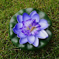 Pikkukuva 4 / 5: 5 kpl keinotekoisia kelluvia lumpeita, 10 cm Eva Lotus -koristeet, 10 cm
