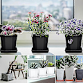 Miniatyrbilde 2 av 5: 5 stk Firkantede Plastblomsterpottefat Fanger Opp Overskottsvann og Jordspill for Blomsterpotter Innendørsplanter Grå Grey Grey 12Inch