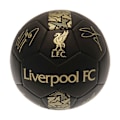Miniatyrbillede 1 af 3: Liverpool FC Phantom Signature Fodbold 5 Sort/Guld