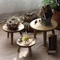Miniatyrbilde 7 av 7: Mini Rund Trepall Kort Trepall for Planter Mini Trepall Display for Hjem Terrasse