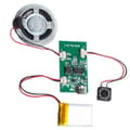 Miniatyrbillede 1 af 5: Programmerbart lydoptagermodul - DIY musikstemmeoptagermodul As Shown