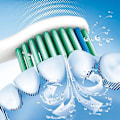 Pikkukuva 3 / 5: 4 kpl vaihtoharjaspäitä, jotka sopivat Philips Sonicare -sähköhammasharjoihin