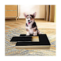 Miniatyrbilde 2 av 5: Hundetreningsbrett - Filing, Trimming, Scratching Board, Sanding, Sandpapering, Filing, Scraping