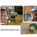 Miniatyrbilde 2 av 2: Håndholdt rustfritt stål hvetegress juicer manuell snegle saktepresser frukt hvetegress grønnsak appelsinjuice ekstraktor høy kvalitet-m.2797