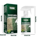 Miniatyrbillede 2 af 5: Grøn Græsmalingsspray Langvarig Græsmaling Forbedrer Pletvis Dvaletilstand Gulnende Græs Til Græs