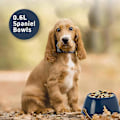 Miniatyrbillede 2 af 5: DogCentre 2x 0.6L Mørkeblå Spaniel Hundehvalpe Skåle Skridsikker Dyrefoder Vandfade Sæt