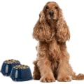 Miniatyrbillede 1 af 5: DogCentre 2x 0.6L Mørkeblå Spaniel Hundehvalpe Skåle Skridsikker Dyrefoder Vandfade Sæt