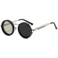 Visionguard NF aurinkolasit, Visionguard ND -suodatin aurinkolasit, Punk-ristipeili Silver