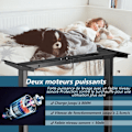 Pikkukuva 2 / 4: COSTWAY ELECTRIC SIT-STAND TYÖPÖYTÄ - 2 moottoria - Säädettävä korkeus (70-120 cm) ja leveys (109-151 cm) Alle 50 dB Musta Svart