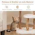 Miniatyrbild 4 av 4: COSTWAY Kattträd på flera nivåer 110 cm, massivt trä, abborre, skrapstolpar, hängande boll, lägenhet för katt och kattunge Färg: Natur och vit