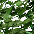 Miniatyrbillede 3 af 4: COSTWAY kunstig hæk, privat skærm 150 x 240 CM Anti-UV, kunstig vegetabilsk mesh realistisk PE-løv, 10 lynlåse