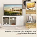 Miniatyrbillede 3 af 4: COSTWAY tv-skab til 49" med 2 skuffer, 4 rum, opbevaringsrum til stue, soveværelse, 108 x 39 x 50 cm Vit