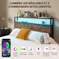 Pikkukuva 2 / 4: COSTWAY Industrial -parivuode aikuisille 140 x 200 cm - APP-ohjaus, LED-valo, Bluetooth, pistorasia ja 4 laatikkoa Flerfärgad