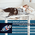 Miniatyrbillede 3 af 4: COSTWAY ELECTRIC SIT-STAND DESK - 2 motorer - Justerbar i højden (70-120 CM) og bredde (109-151 cm) Mindre end 50 dB Hvid