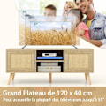 Miniatyrbillede 4 af 4: COSTWAY tv-stativ i træ til 55" tv med 4 rum, 4 træben, 2 rattan-skydedøre, 120 x 40 x 40,5 cm