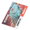 Miniatyrbild 5 av 5: Crawl Pet UV-testkort Enkla Mätningar Återanvändbar Snabbtest UVB-sensor Kort för Reptil UV-testning