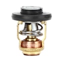Miniatyrbild 3 av 5: Termostat för båtmotor Passar Yamaha 3P-225P Hästkrafter Utombordare 6E5-12411-30