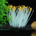 Miniatyrbilde 1 av 5: Livlig Kunstig Korallplante Ornament for Akvarium Undervanns Fisketank Nattlys Oransje