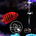 Miniatyrbillede 1 af 5: Akryl Gennemsigtig Holdbar Akvarium Fisk Reje Foder Fisketank Foderrør med Bakke (20cm)