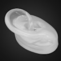 Miniatyrbillede 4 af 5: Silikone Øremodel Simulation Kunstigt Øre Display Model til Høreapparater WearingRight Øre