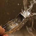 Miniatyrbillede 4 af 5: 2-pak Unikke Fugleformede Køkkenredskaber Citronpresser 304 Rustfrit Stål