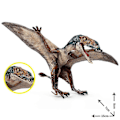 Miniatyrbillede 5 af 5: Realisttisk Dinosaur Figur Pterosauria Livagtig Form Model Figur Samling