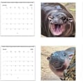 Miniatyrbild 2 av 5: Moo Deng Kalender 2025, Rolig Moo Deng Flodhäst Kalender, Lilla Flodhästen Moo Deng 2025 Väggkalender, 12 Månaders Planerare