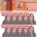 Miniatyrbillede 1 af 5: Ny Kamala Harris Kokosnødtræ Meme Bumper Decal Sjov Sticker Kort
