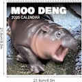Miniatyrbild 4 av 5: Moo Deng Kalender 2025, Rolig Moo Deng Flodhäst Kalender, Lilla Flodhästen Moo Deng 2025 Väggkalender, 12 Månaders Planerare