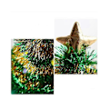 Miniatyrbild 5 av 5: Julgranhatt för jul och julfest
