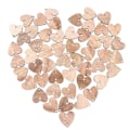 Miniatyrbild 1 av 2: WINOMO 50 st Hjärtformade Träskivor Med 50 st Järnöglor Set För Födelsedagspåminnelse Hängande Träskylt DIY Kalendertillbehör Heminredning (Trä