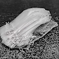 Miniatyrbillede 3 af 4: 50 stk Hvide Organza Foldbare Håndblæserposer med Snørelukning til Bryllup
