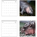 Miniatyrbild 3 av 5: Moo Deng Kalender 2025, Rolig Moo Deng Flodhäst Kalender, Lilla Flodhästen Moo Deng 2025 Väggkalender, 12 Månaders Planerare