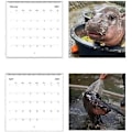 Miniatyrbild 5 av 5: Moo Deng Kalender 2025, Rolig Moo Deng Flodhäst Kalender, Lilla Flodhästen Moo Deng 2025 Väggkalender, 12 Månaders Planerare