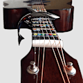 Miniatyrbild 5 av 5: Shark Guitar Capo - Zinklegering Capo för Akustisk, Elektrisk, Klassisk Gitarr, Bas och Ukulele