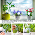Miniatyrbild 3 av 8: 12-pack vattenklot självbevattningssystem ​PVC självvatten Army green one