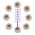 Miniatyrbillede 5 af 5: 8 STK DIY Eyebrow Shaper Makeup Skabelon Eyebrow Grooming Shapin 8pcs/set