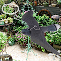 Pikkukuva 1 / 5: Realistinen lentävä lintu Hawk Pigeon houkutti tuholaistorjunta Garden Sca