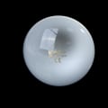Miniatyrbillede 5 af 5: UVA+UVB Reptillampe Pære Skildpadde Solende UV-pærer Opvarmning 75W