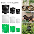 Pikkukuva 3 / 5: Rooting High Pressure Propagation Ball High Pressure Box Garde Clear S-3pcs