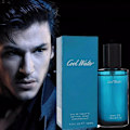 Miniatyrbilde 5 av 5: Cool Water av Davidoff for menn EDT Cologne Spray 125 ml