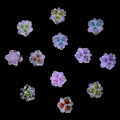 Miniatyrbild 3 av 5: 50 st 3D Blommor för Naglar Berlocker Is Transparenta Blommor Nagelberlocker Blommor Nagelkonst Berlocker Självlysande Blommor Berlocker {HH}