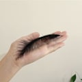 Miniatyrbild 3 av 5: 100 st svarta fluffiga kalkonmarabou-fjädrar 4-6 tum för hantverk drömfångare frans trim färgade fjädrar flugbindningsmaterial